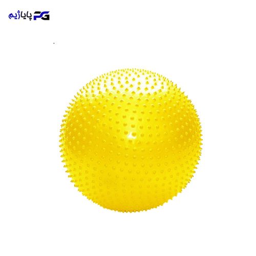 توپ پیلاتس عاج دار سایز 20 کد TPL20