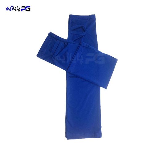 ساق دست انگشتی